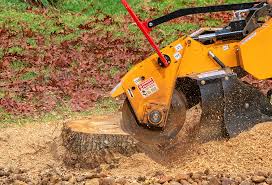 Best Weed Control  in Eastern Goleta Valley, CA